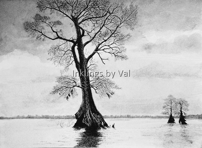 Stormy Tree.jpg - 14in x 18in matted & framed:$2.200USD : \The stormy clouds, the stillness of the water and the statuesque barren trees.